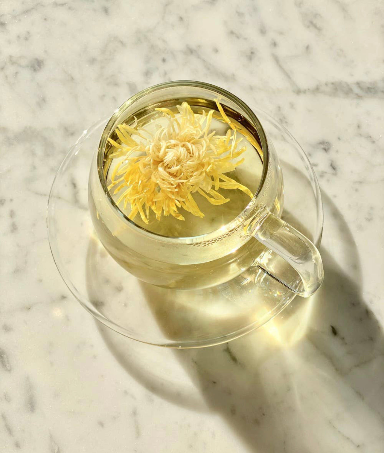 Floral Tea Tasting Sampler